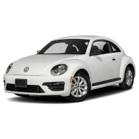 Beetle