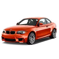 1M