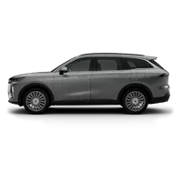 Tiggo 9